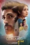Colours of Love (2024) Hindi HDRip 720p - 480p - 1080p