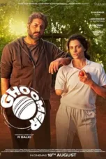 Ghoomer 2023 Hindi WEB-DL 1080p - 720p - 480p