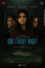 One Friday Night 2023 Hindi HDRip | 720p | 480p