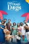 Dil Dosti Aur Dogs 2025 Hindi HDRip 720p – 480p – 1080p